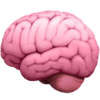 Critical Thinking